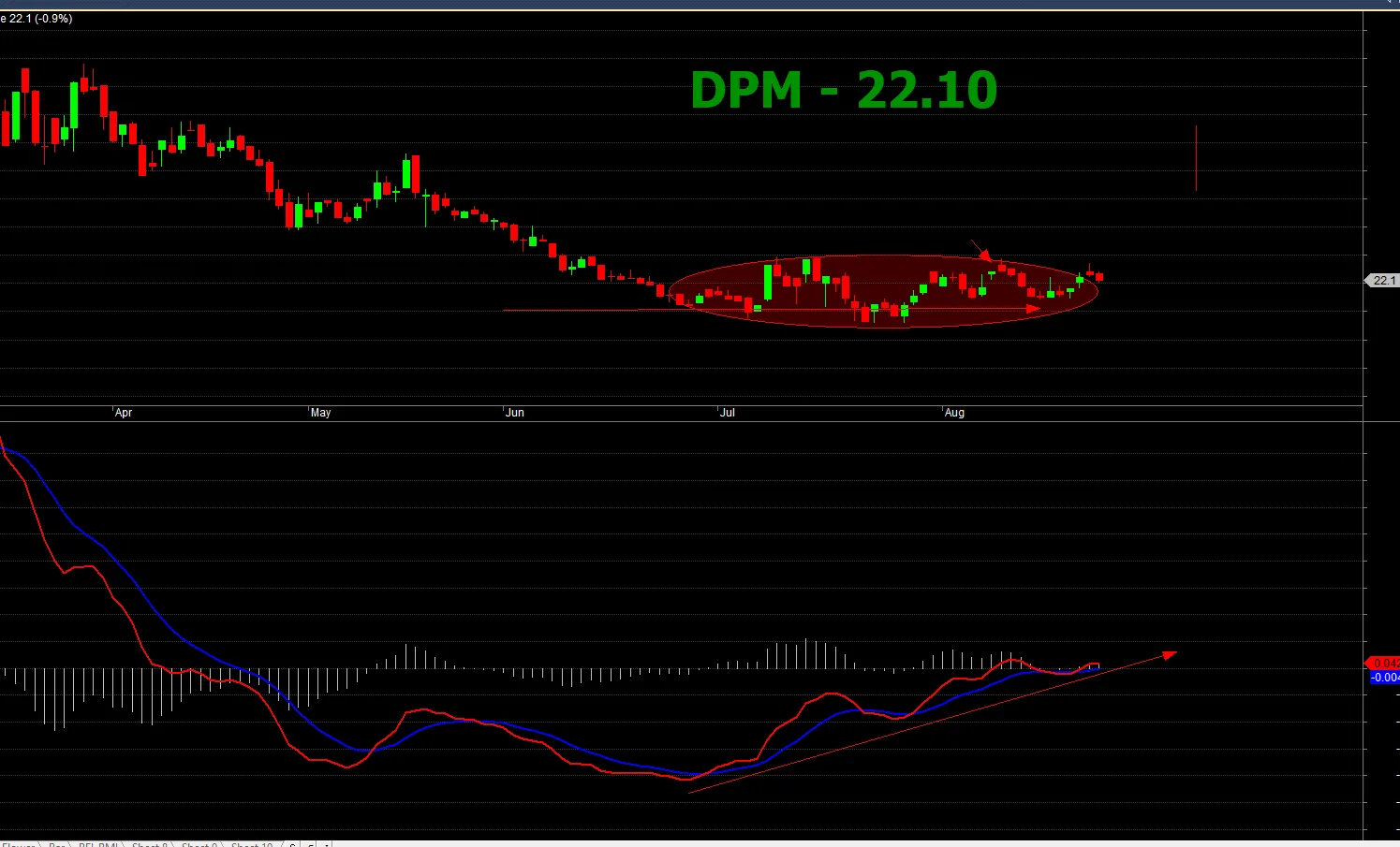 Biểu đồ DPM khung ngày - phân kỳ dương MACD tạo đáy
