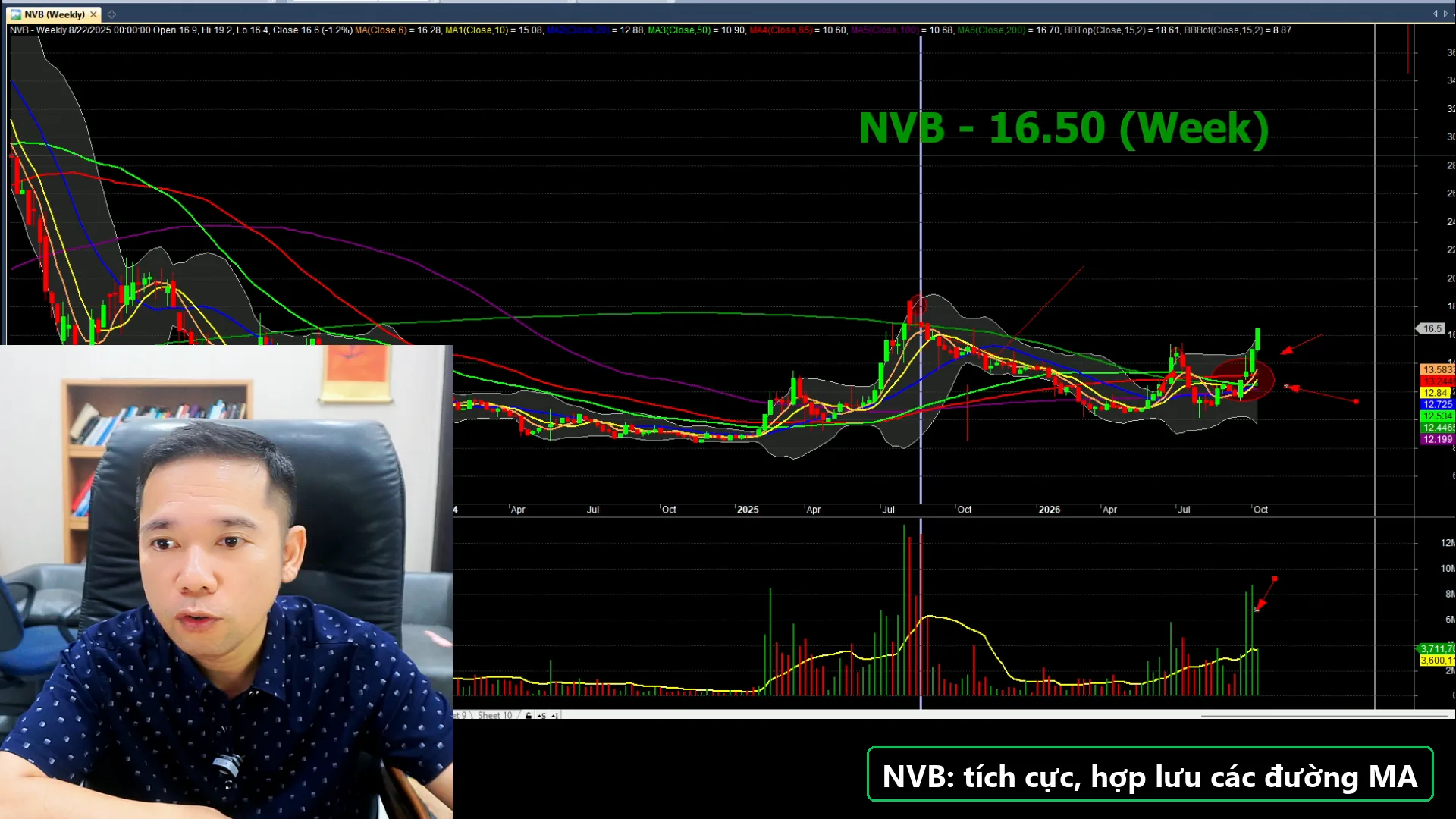 Biểu đồ phân tích NVB - livestream 05/10/2026